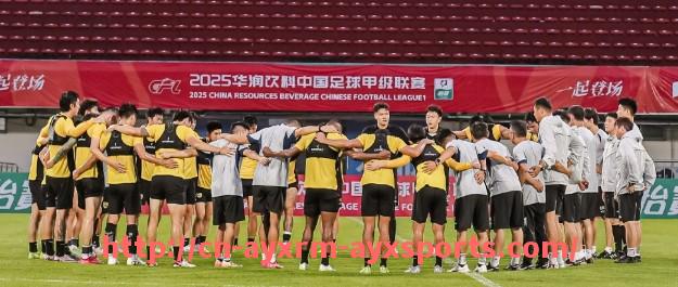 爱游戏体育-德甲足球代表球队及其在国际赛场上的影响力