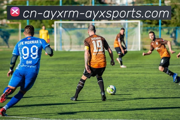 火箭队历年季后赛战绩统计与晋级情况一览