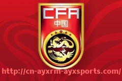 爱游戏体育-英超足球作家协会历届最佳球员获奖名单