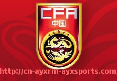 爱游戏体育-英超足球作家协会历届最佳球员获奖名单